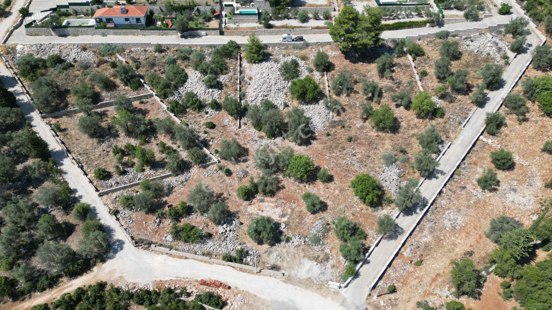 Goldhouse Dan Satılık Arsa Üzümlü De 1610 M² Fırsat - Görsel 2