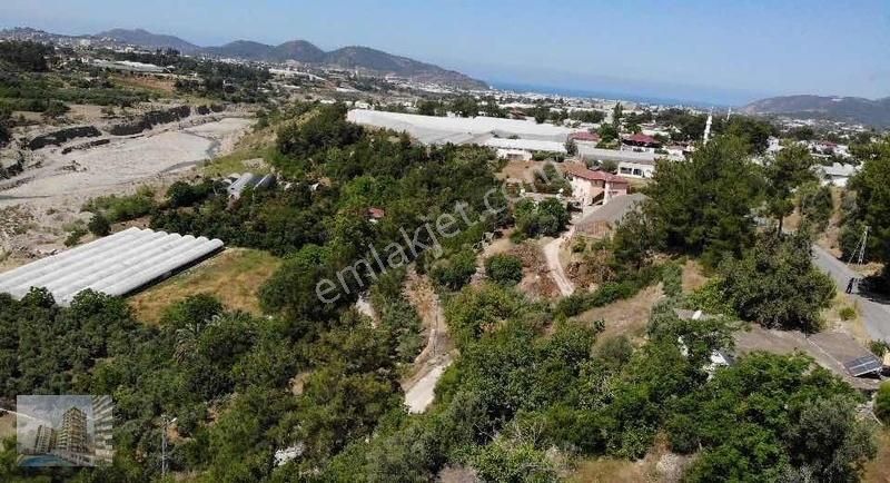 Aydıncık Mahallesinde 2.600m2 Tarla Ve 3+1 Ev - Görsel 6