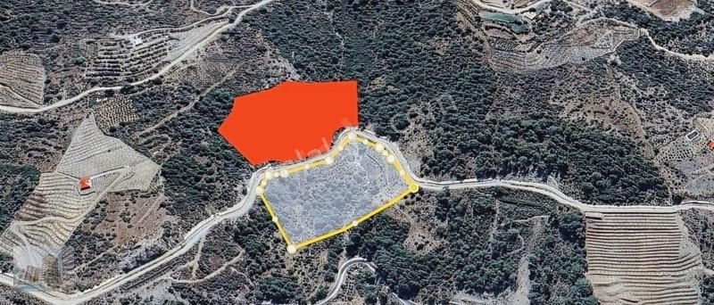 Gazipaşa Sugözü Mahallesinde Uygun Fırsat 26 Dönüm Tarla