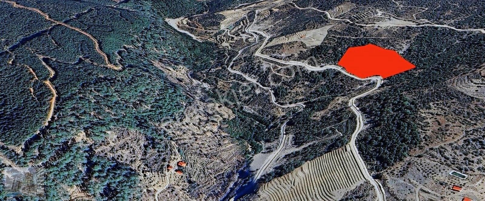 Gazipaşa Sugözü Mahallesinde Uygun Fırsat 26 Dönüm Tarla - Görsel 2