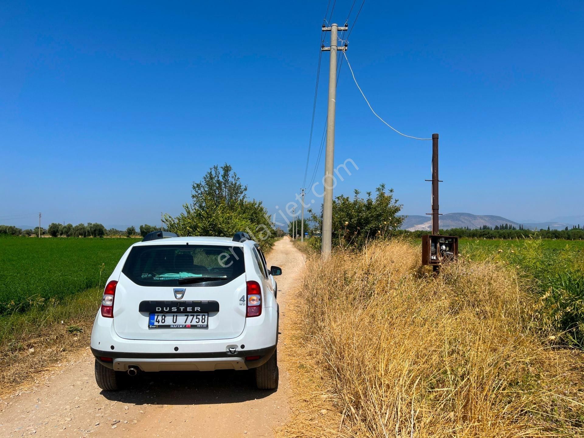 Milas Ağaçlıhöyük'te Satılık 45 Dönüm Verimli Çiftlik Arazisi - Görsel 19