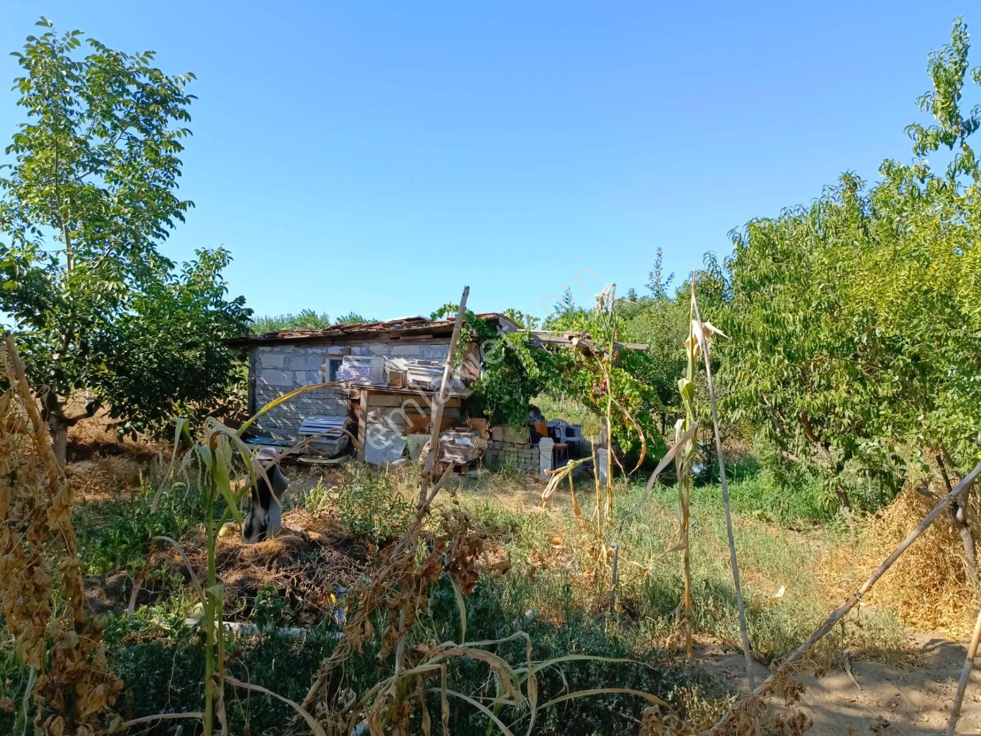 Edirne Merkez Bosnaköyde Meriç Nehrine Yakın Satılık Arazi