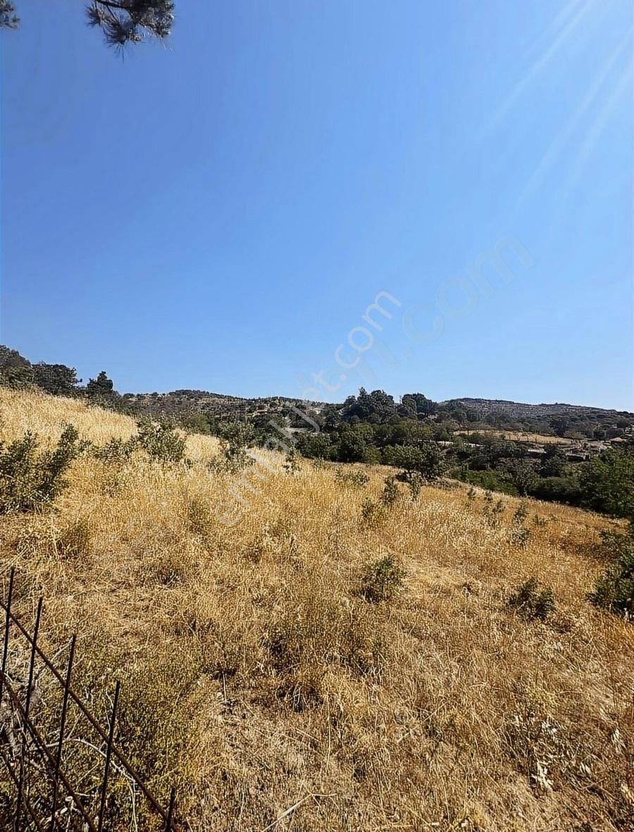 Gömeç Merkeze Yakın 8.317 M2 Arsa