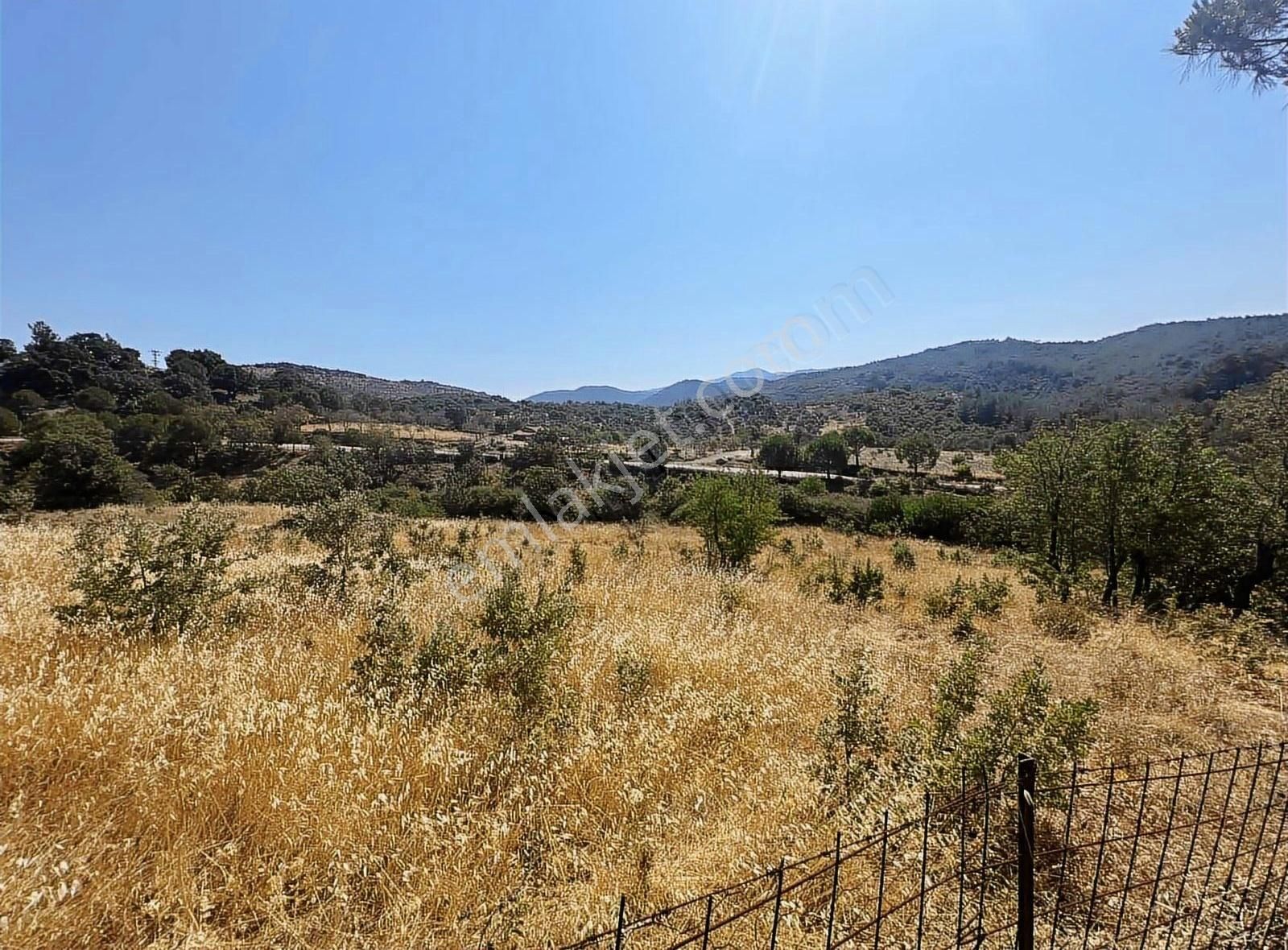 Gömeç Merkeze Yakın 8.317 M2 Arsa - Görsel 5