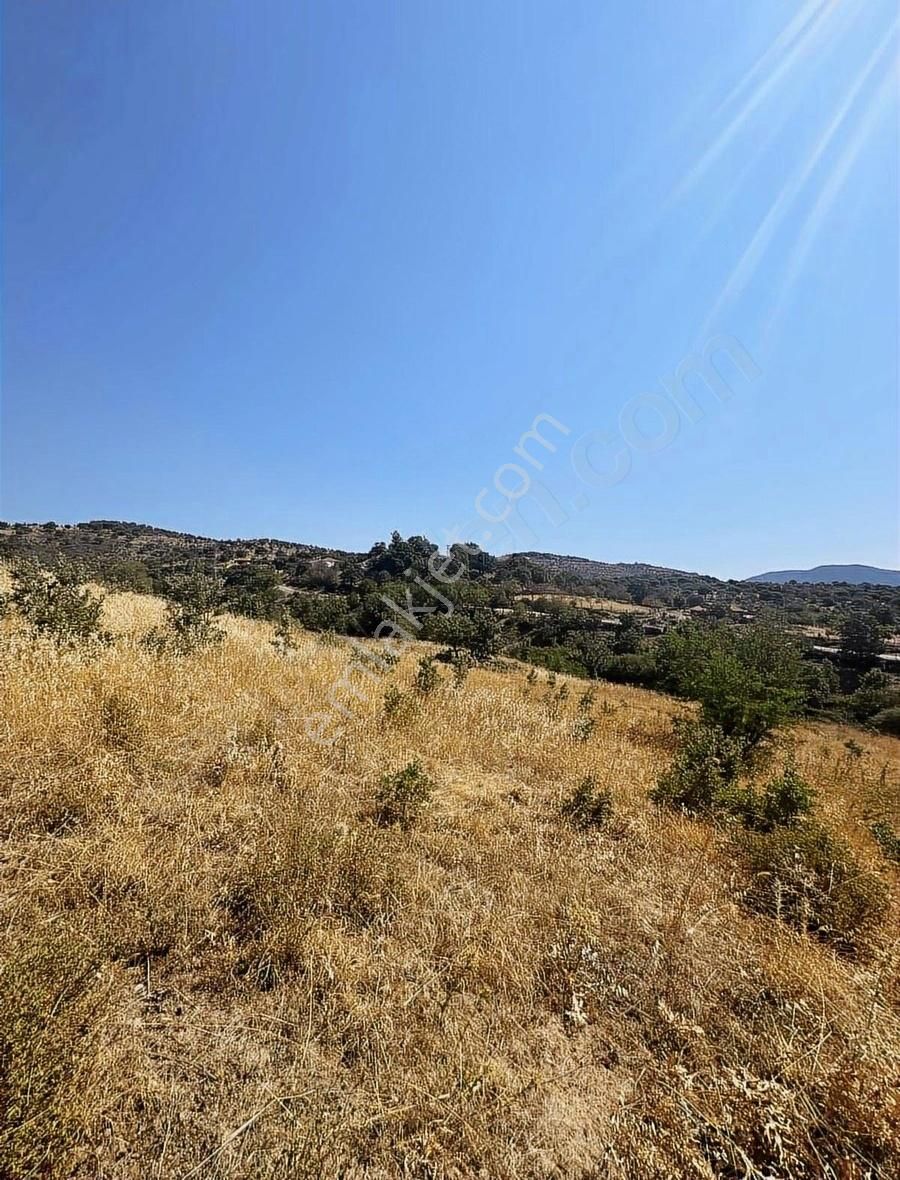 Gömeç Merkeze Yakın 8.317 M2 Arsa - Görsel 6