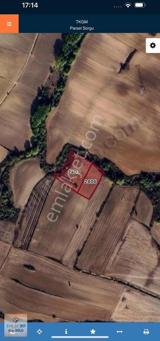 Emlakyap Tan Kırklareli Kavaklı Da 2650 M2 Satılık Tarla