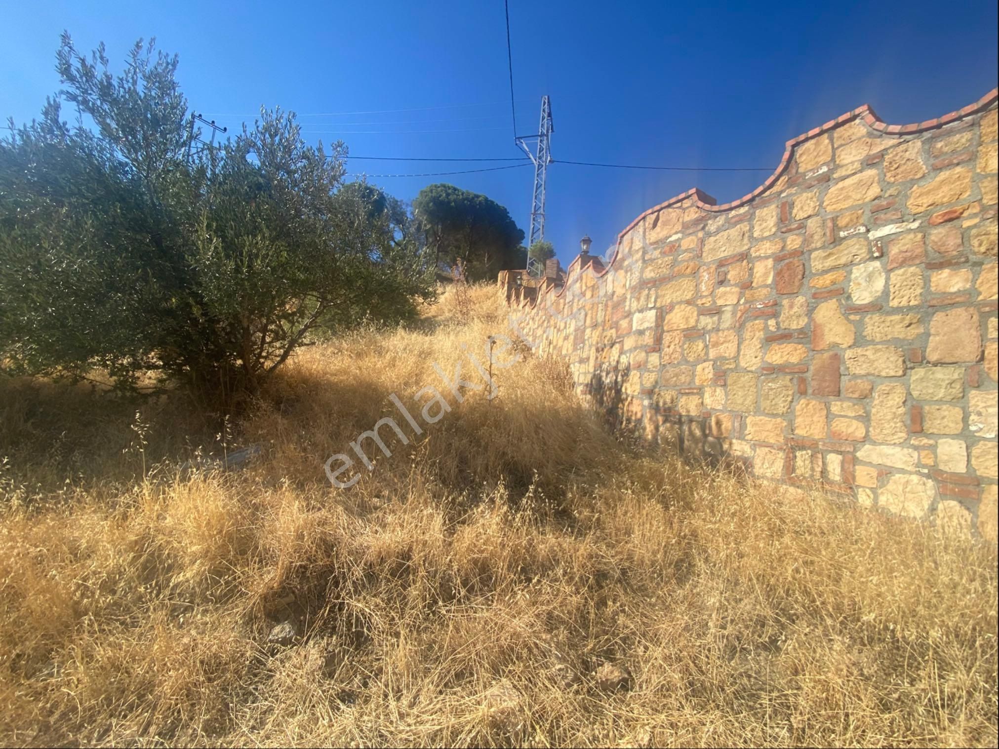 Ayvacık Arıklı Koyunde Denız Manzaralı Arsa - Görsel 6