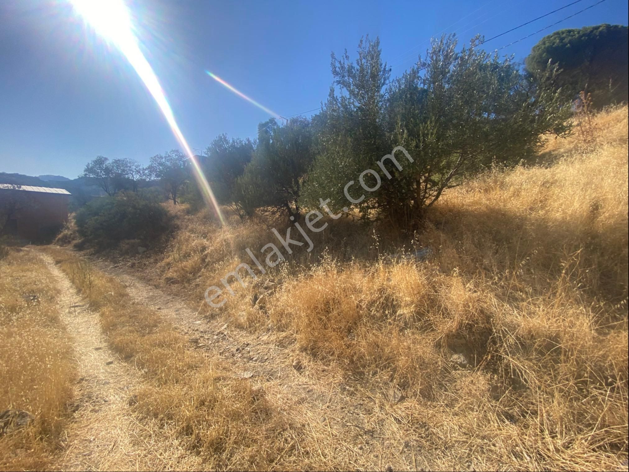 Ayvacık Arıklı Koyunde Denız Manzaralı Arsa - Görsel 5
