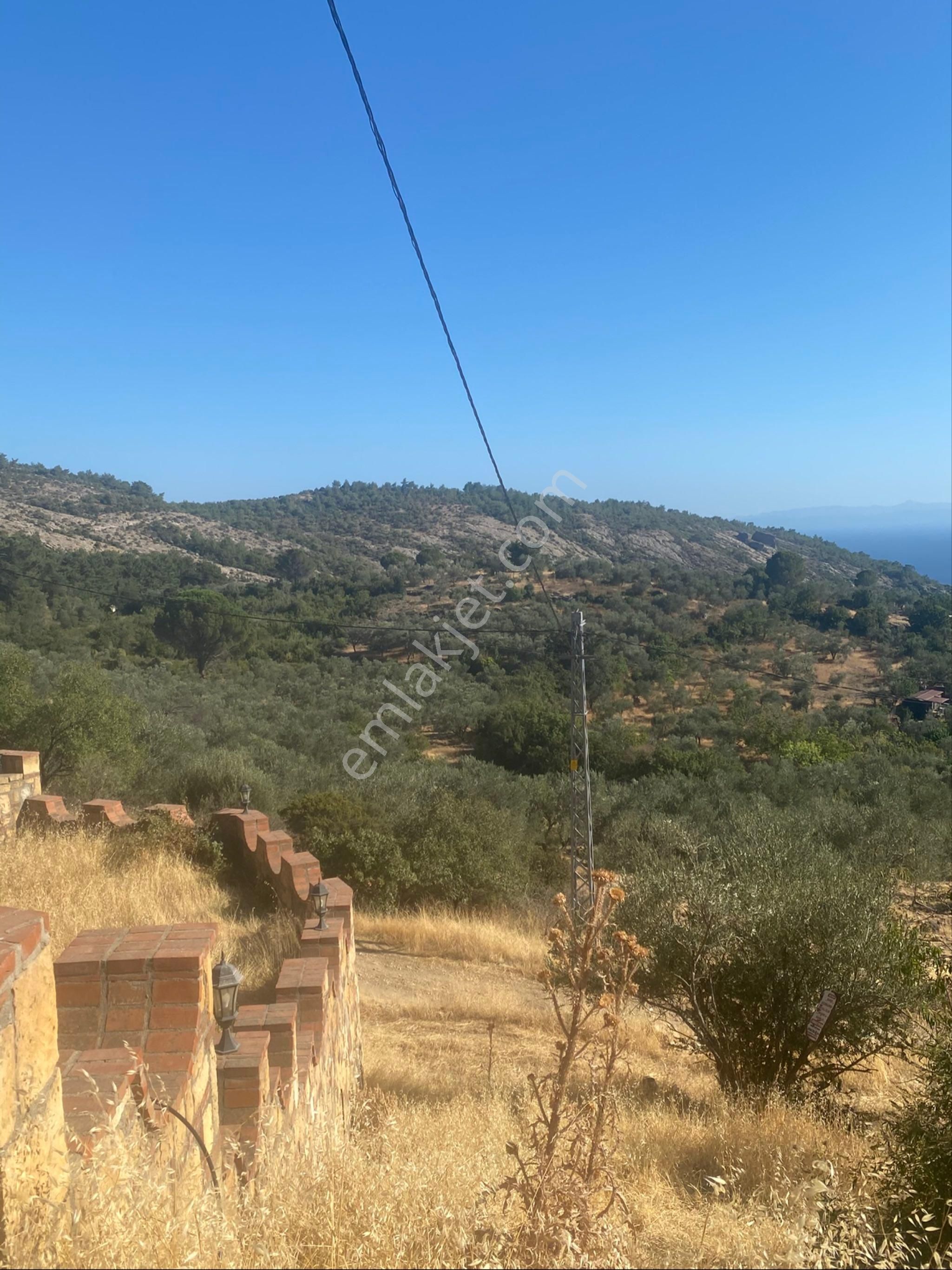 Ayvacık Arıklı Koyunde Denız Manzaralı Arsa - Görsel 12