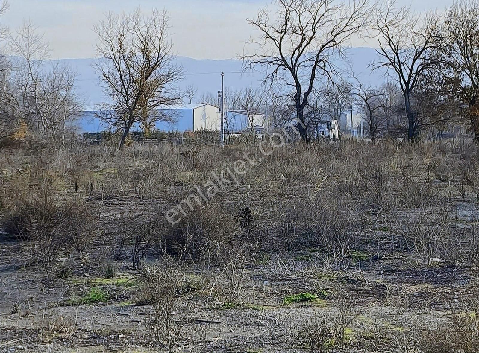Ürünlü'de Depo Ve Fabrika İçin Uygun Arazi Son Fiyat - Görsel 2