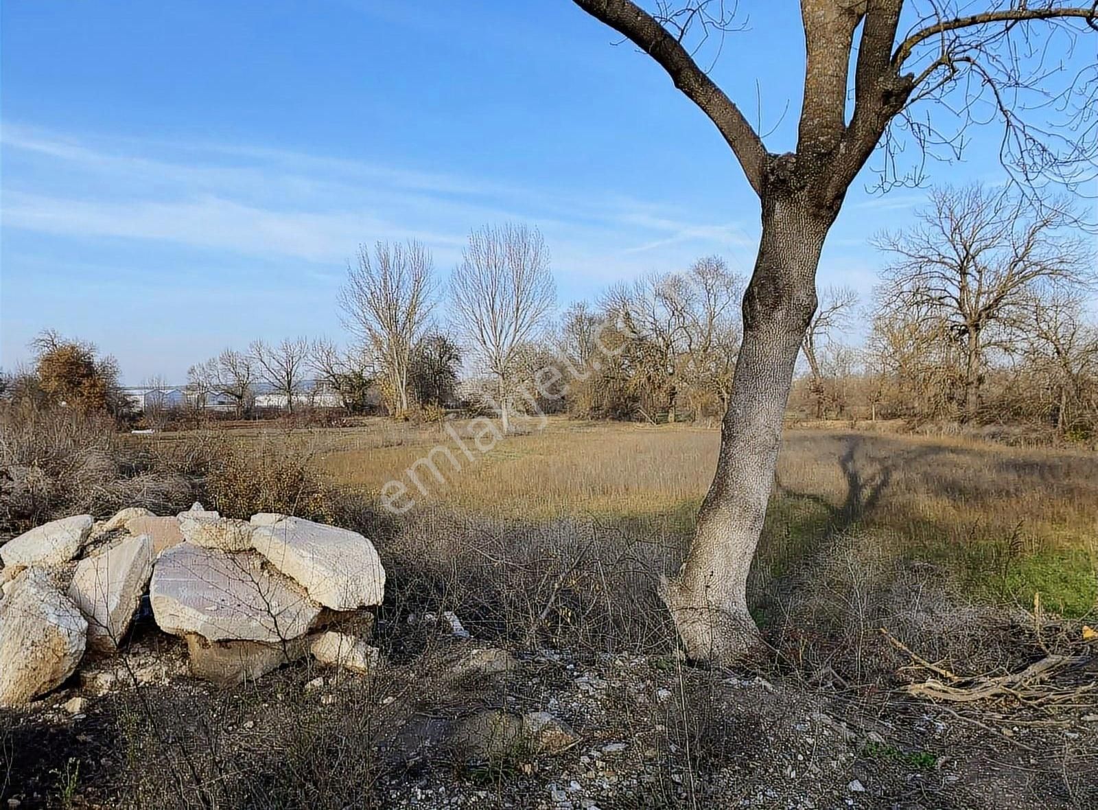 Ürünlü'de Depo Ve Fabrika İçin Uygun Arazi Son Fiyat - Görsel 9