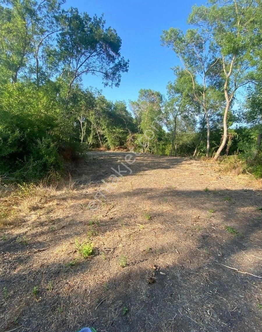 Çatalca Tek Tapu - Görsel 3