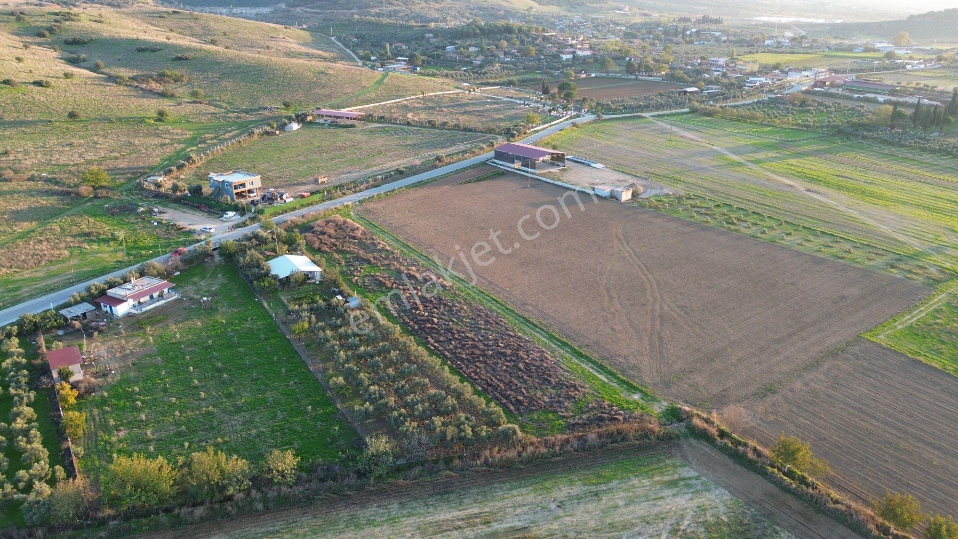 İzmir Tire Sb Emlak'tan Eskioba Mahallesinde Yatırımlık Fırsat Arazi - Görsel 4