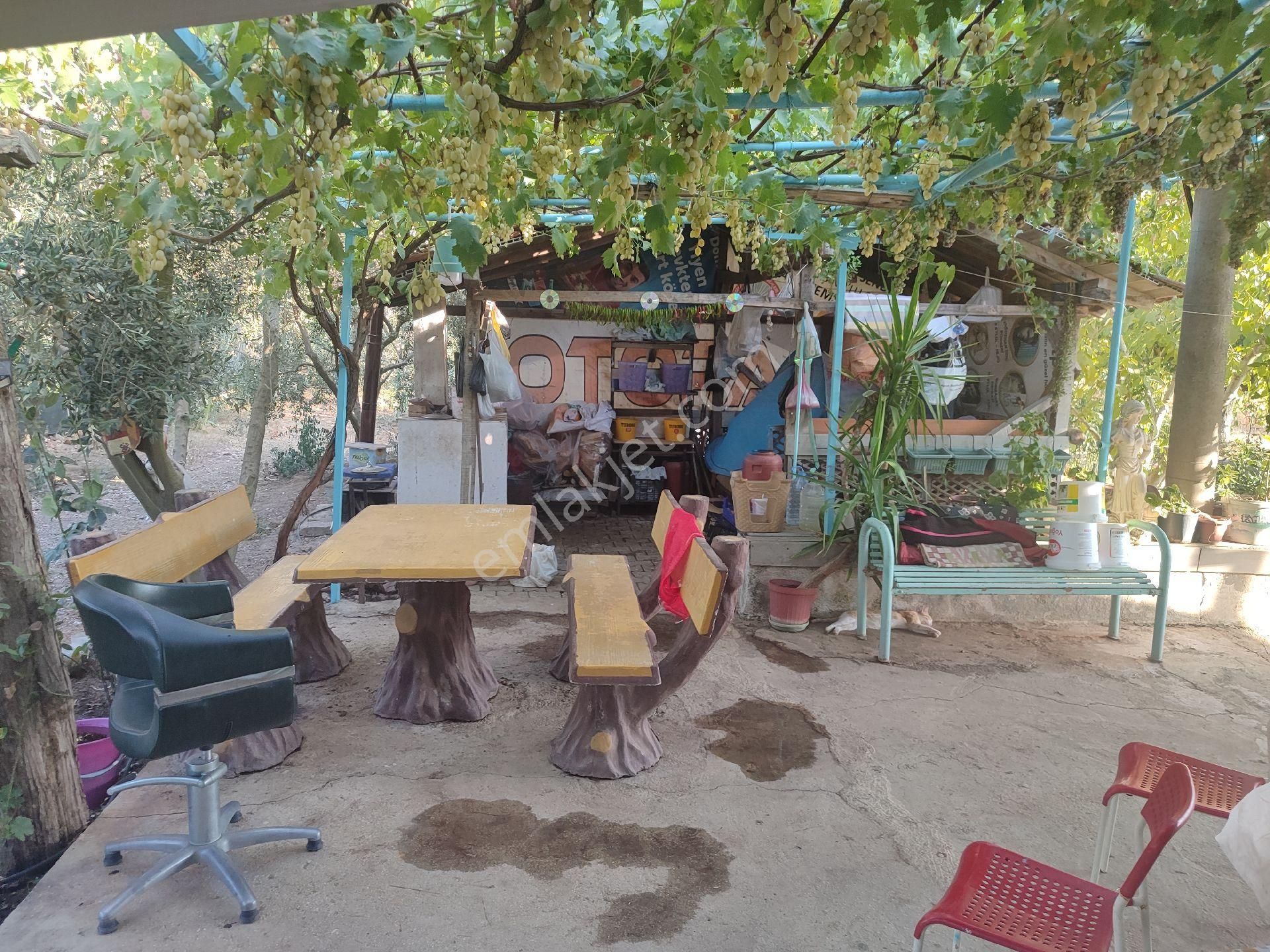 İzmir Tire Sb Emlak Ofisinden Eskioba Mah. Yatırımlık Fırsat Tarla(hobi Bahçesi) - Görsel 8