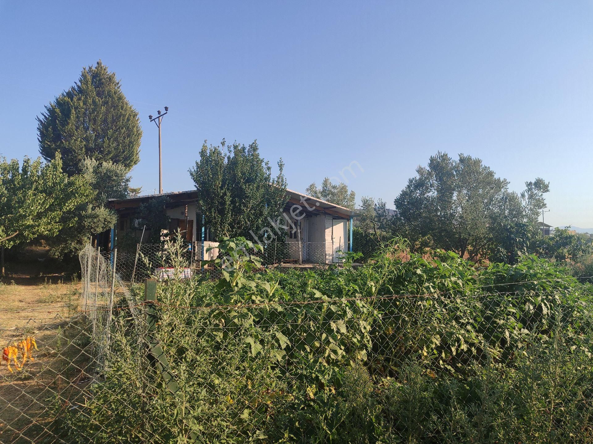 İzmir Tire Sb Emlak Ofisinden Eskioba Mah. Yatırımlık Fırsat Tarla(hobi Bahçesi) - Görsel 7