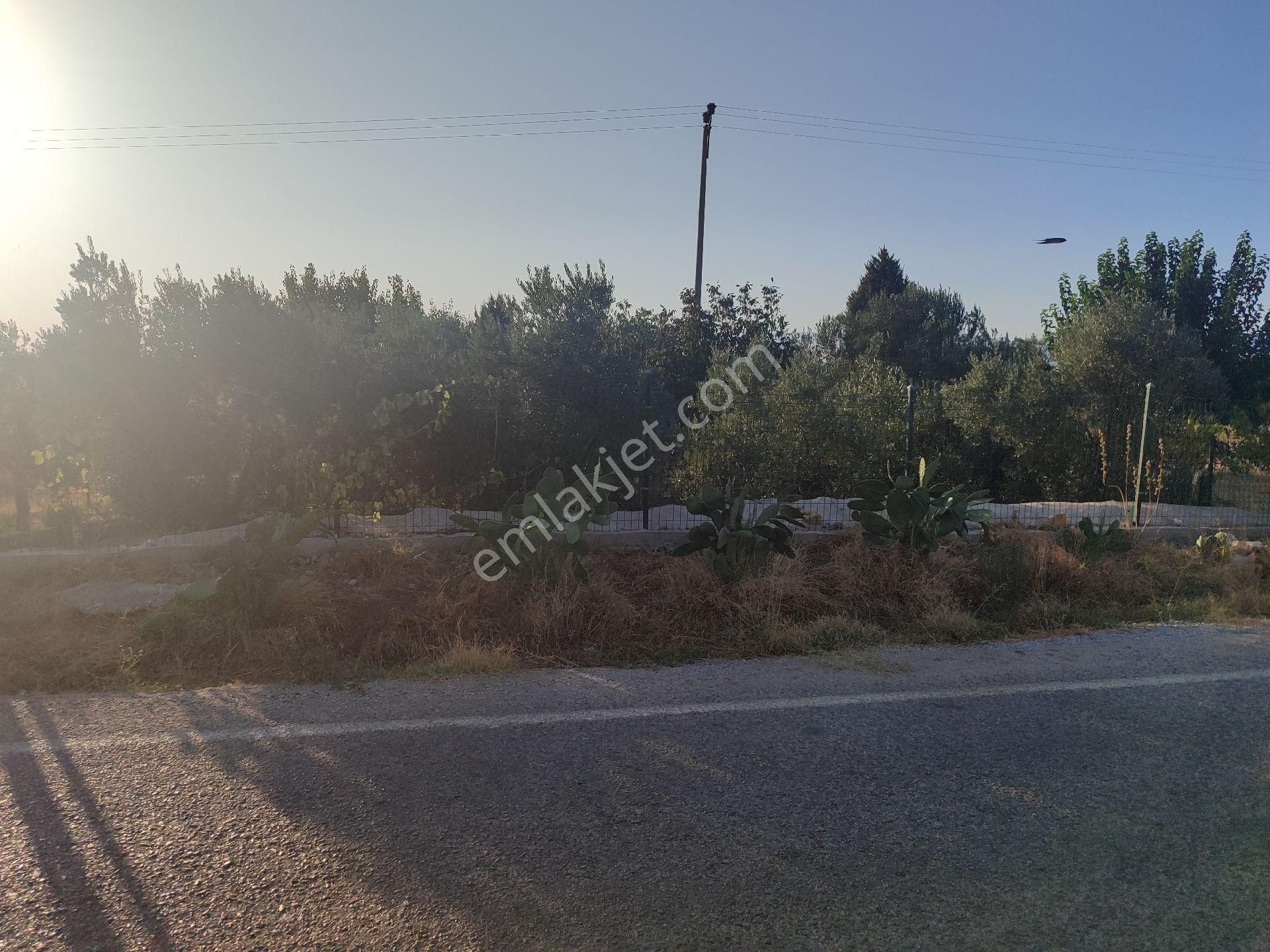 İzmir Tire Sb Emlak Ofisinden Eskioba Mah. Yatırımlık Fırsat Tarla(hobi Bahçesi)