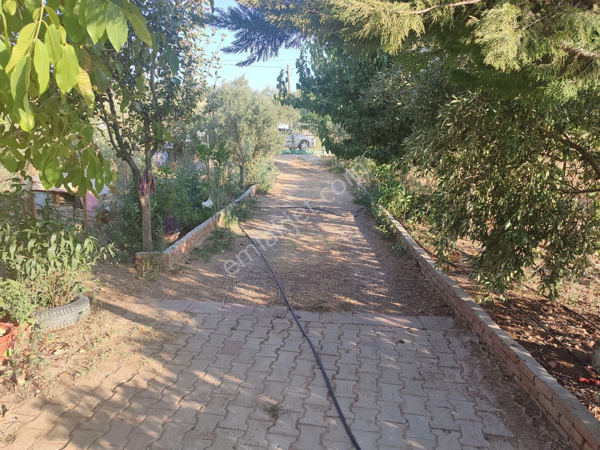 İzmir Tire Sb Emlak Ofisinden Eskioba Mah. Yatırımlık Fırsat Tarla(hobi Bahçesi) - Görsel 9