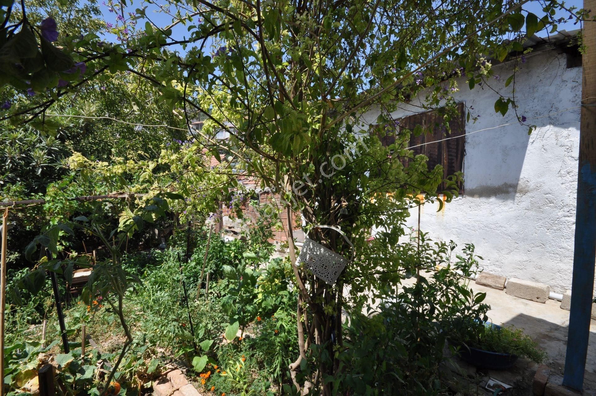 Söke Konak Mh. Satılık 2+1 Müstakil Ev - Görsel 12