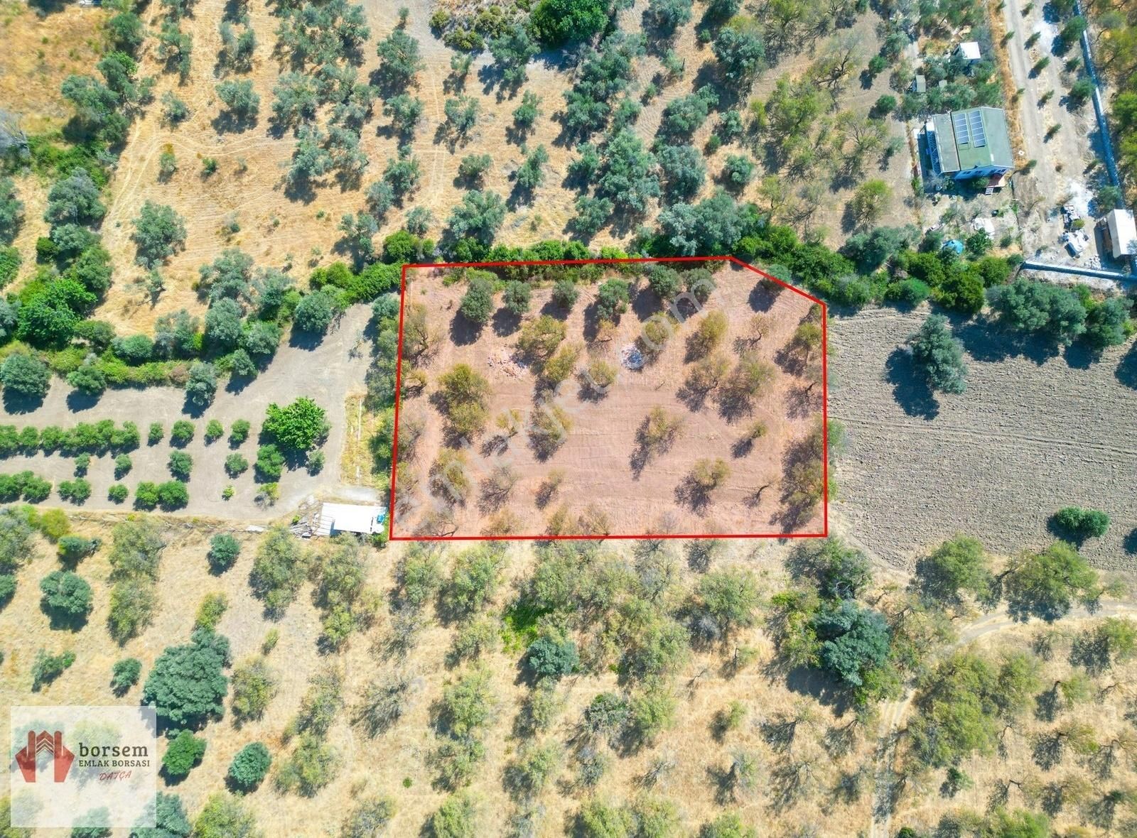 Borsem Datça-karaköy`de 2965 M2 Satılık Tarla