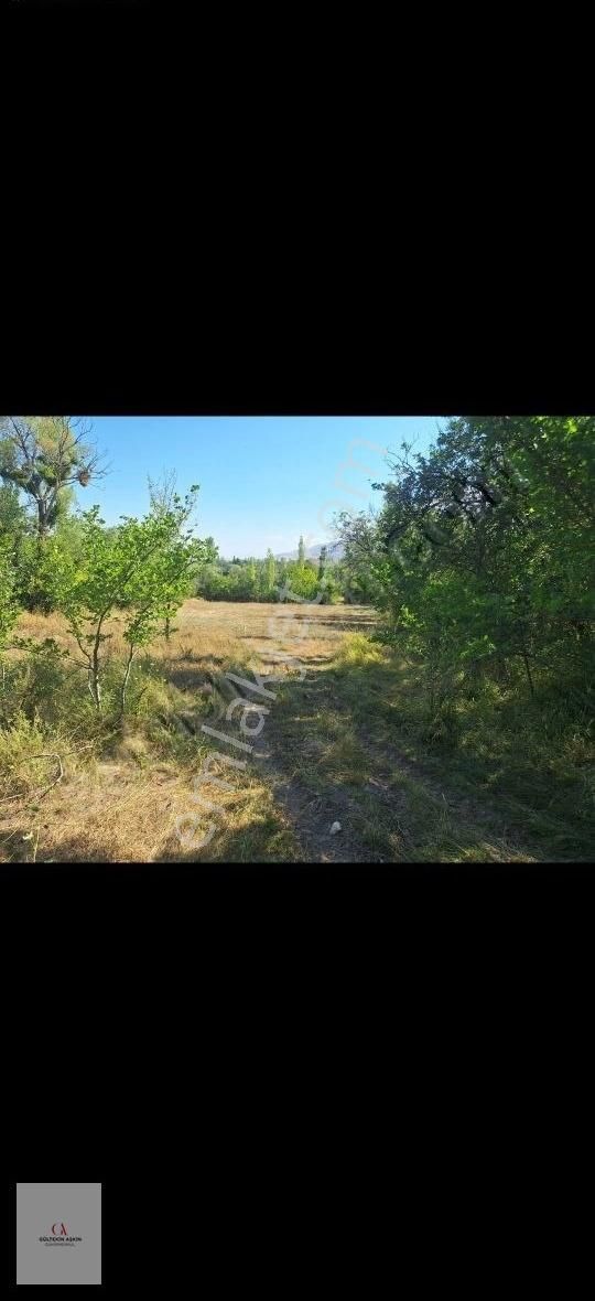 Tefenni Hasanpaşada Kelepir Satılık Tarla