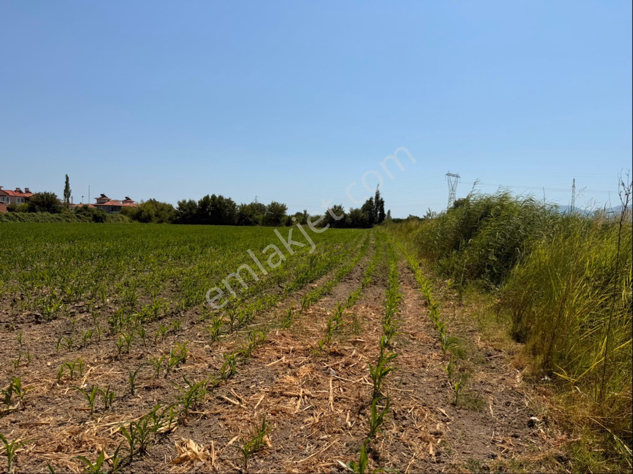 Yatırımcısına Ticari Ve Konut İmarlı Fırsat Arsa! - Görsel 3
