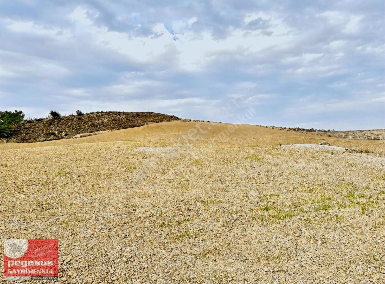 Pegasus'tan Adana Çukurova'da Villa İmarlı Arsa - Görsel 8