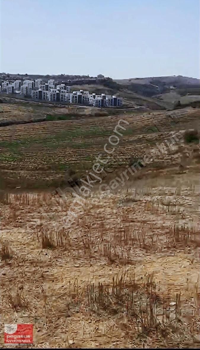 Pegasus'tan Adana Çukurova'da Villa İmarlı Arsa - Görsel 3