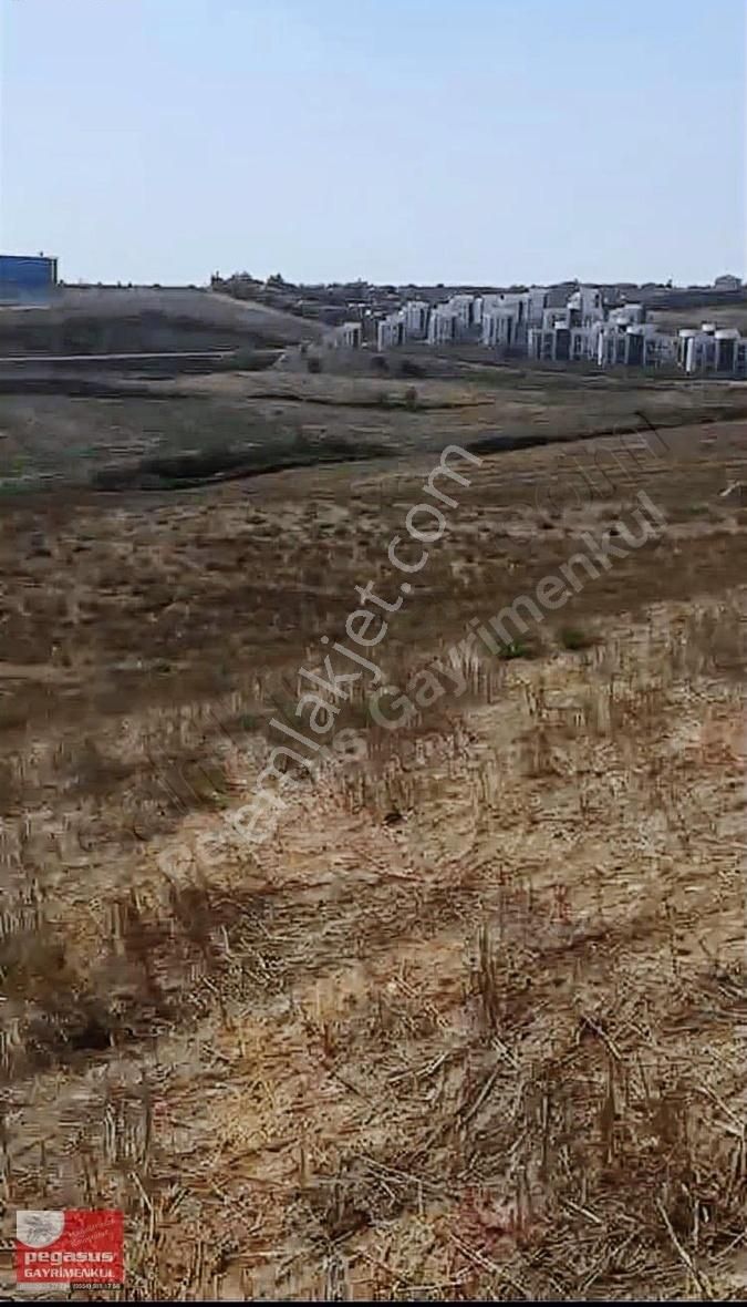 Pegasus'tan Adana Çukurova'da Villa İmarlı Arsa - Görsel 14