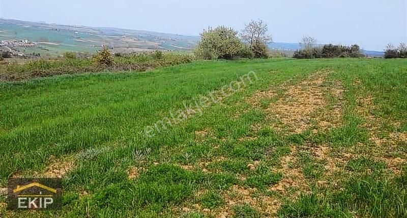 Sakarya Kaynarca Taşoluk Mevkiinde. 3,680 M2 Arsa - Görsel 3