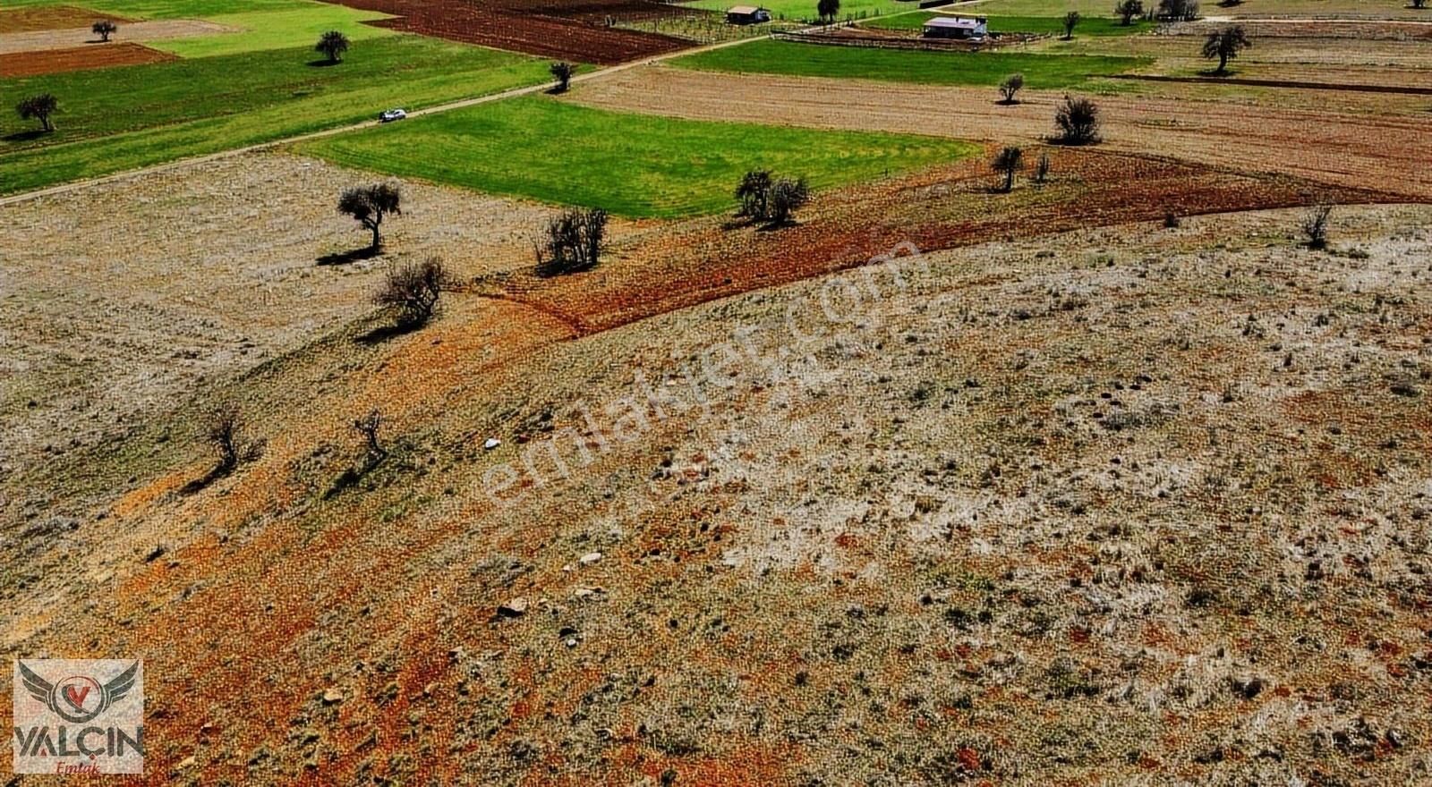 Kızılören'de 2.526 M2 Satılık Tarla - Görsel 3