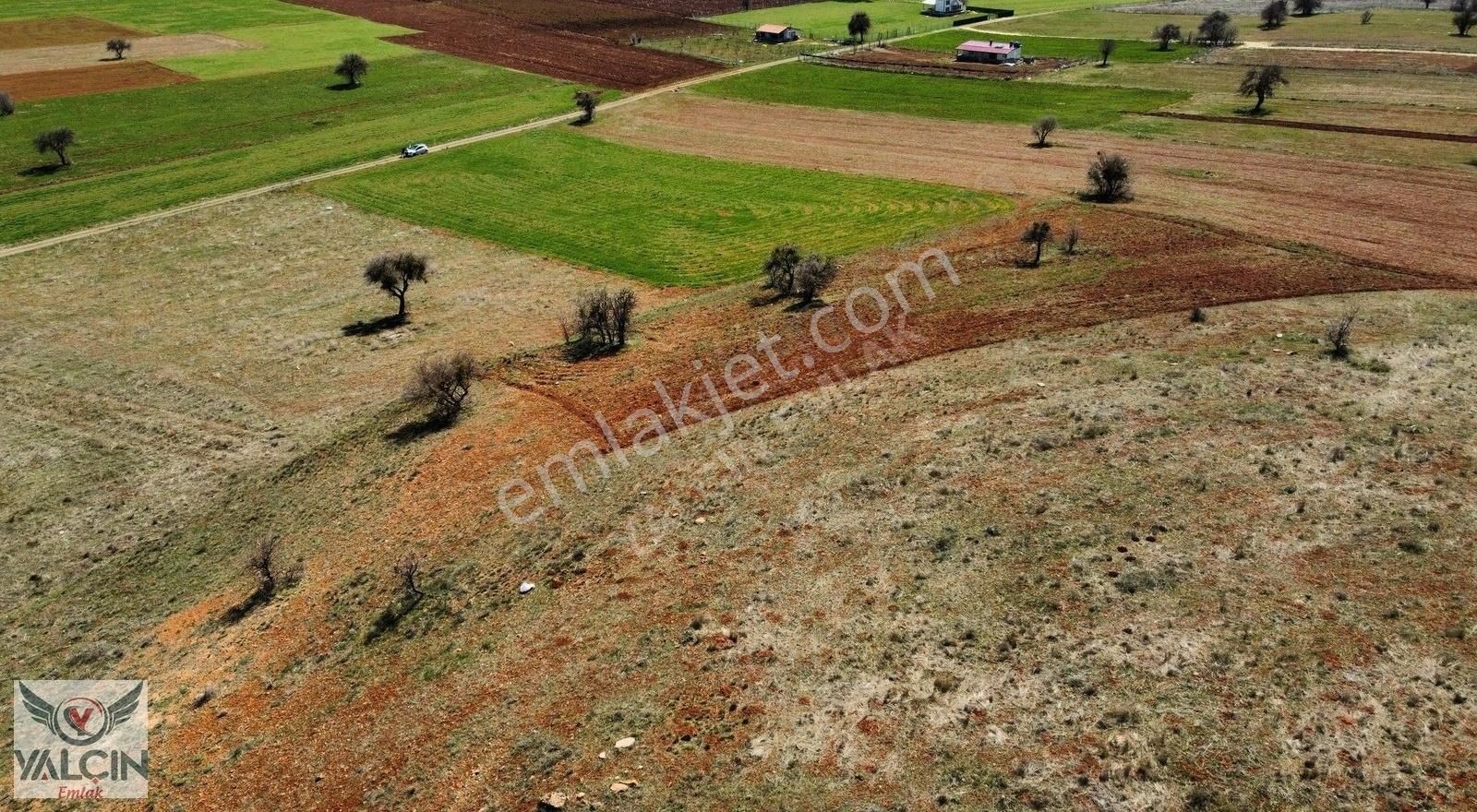 Kızılören'de 2.526 M2 Satılık Tarla - Görsel 5