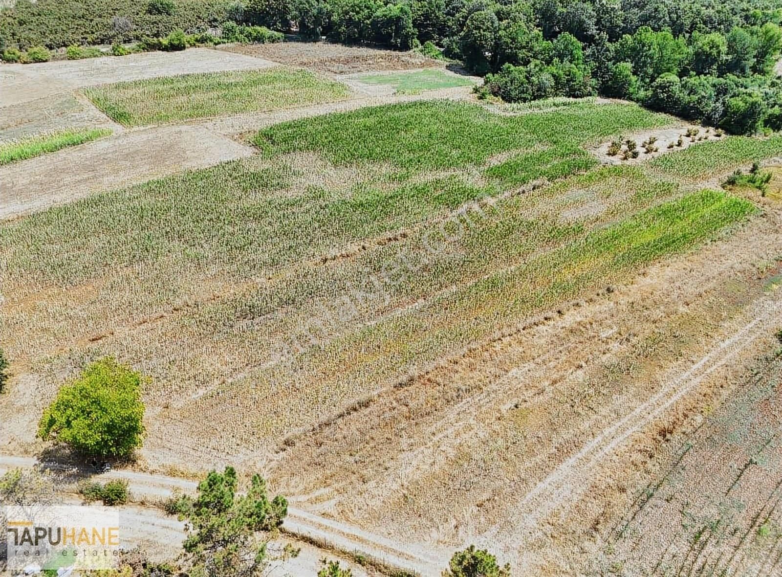 Tapuhane'den Şeyler Köyünde Satılık1400 M2 Arsa - Görsel 4