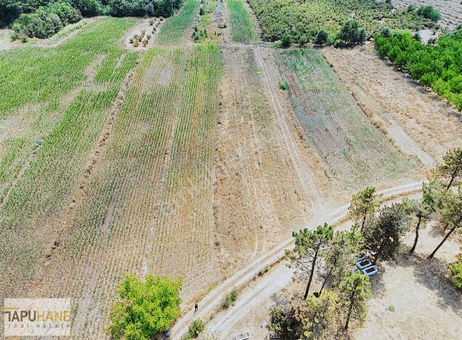 Tapuhane'den Şeyler Köyünde Satılık1400 M2 Arsa