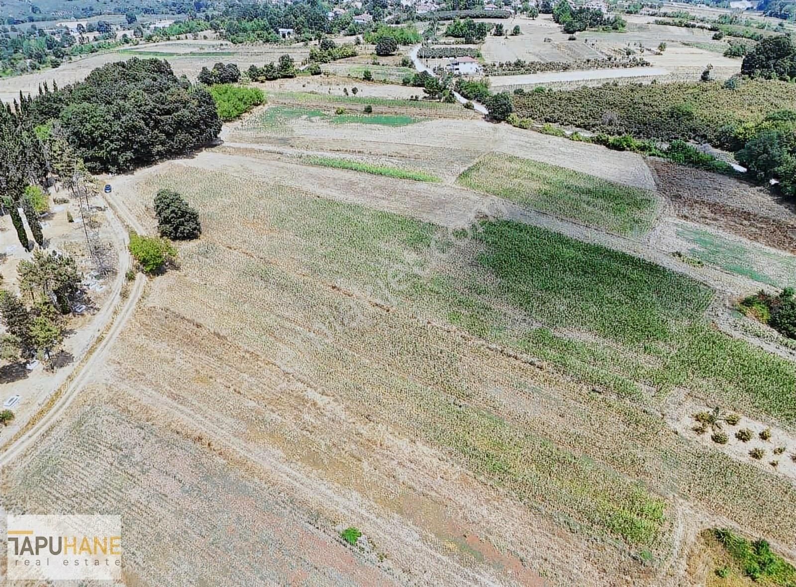 Tapuhane'den Şeyler Köyünde Satılık1400 M2 Arsa - Görsel 13