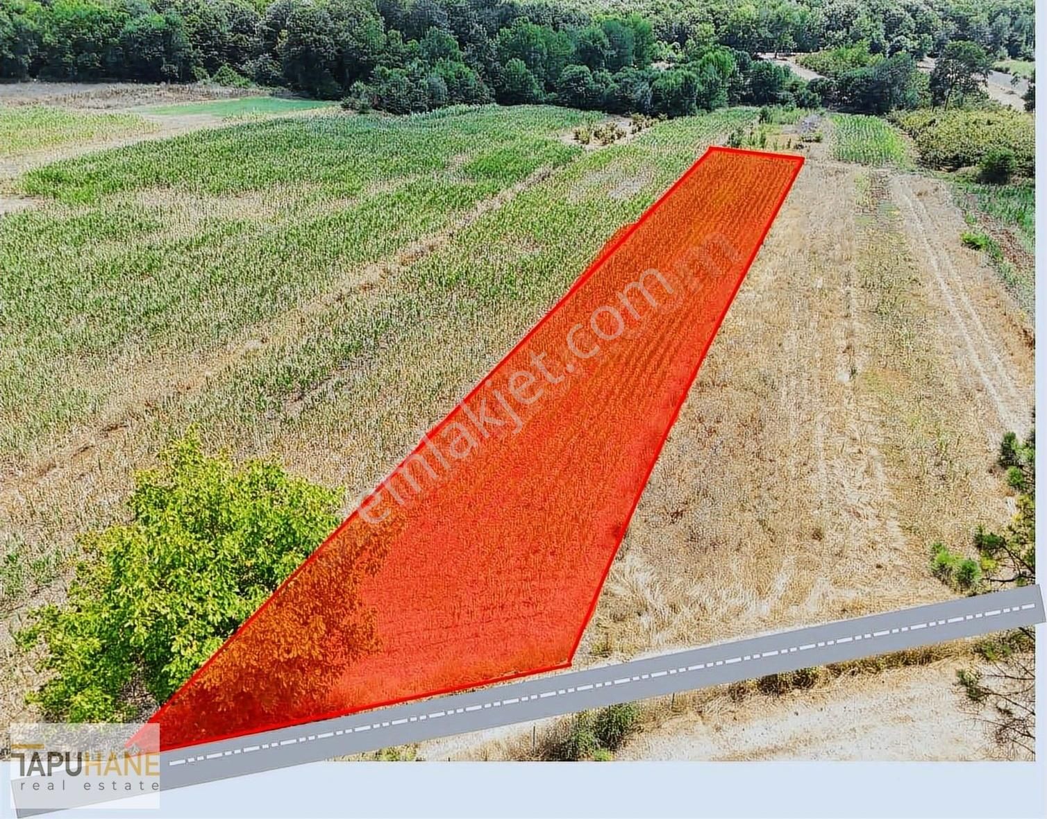 Tapuhane'den Şeyler Köyünde Satılık1400 M2 Arsa - Görsel 12