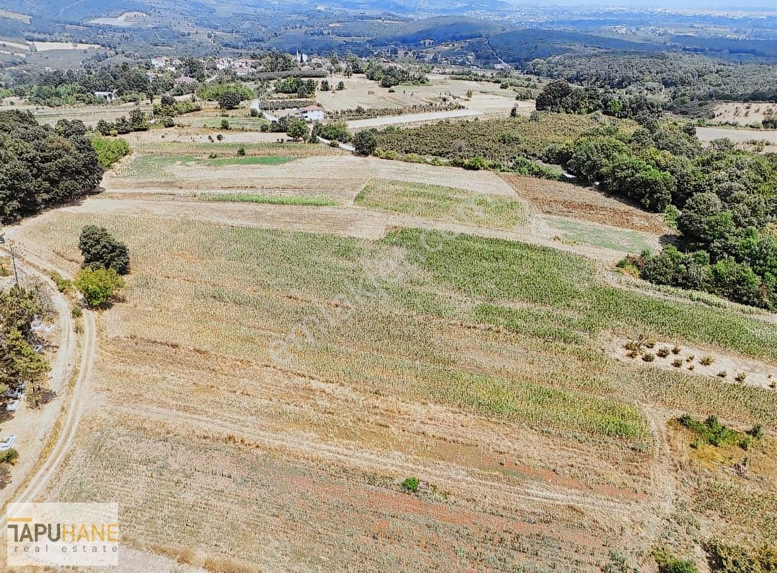 Tapuhane'den Şeyler Köyünde Satılık1400 M2 Arsa - Görsel 5