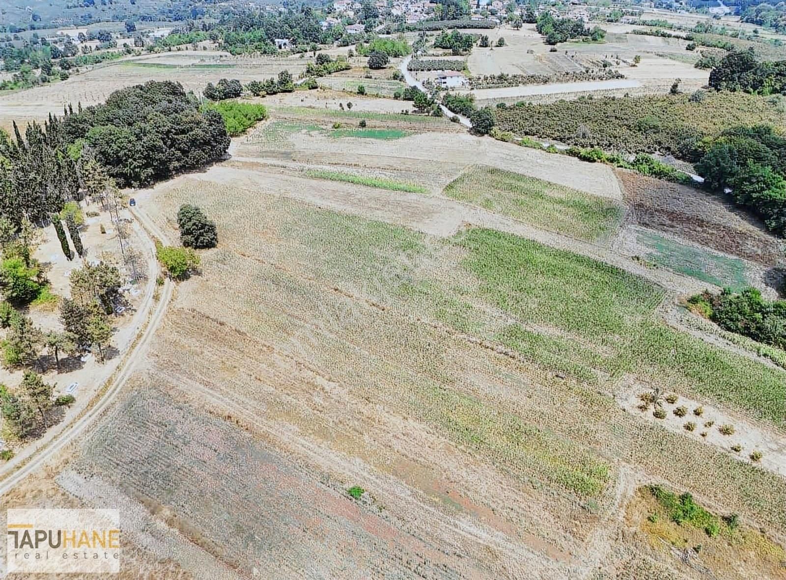 Tapuhane'den Şeyler Köyünde Satılık1400 M2 Arsa - Görsel 14