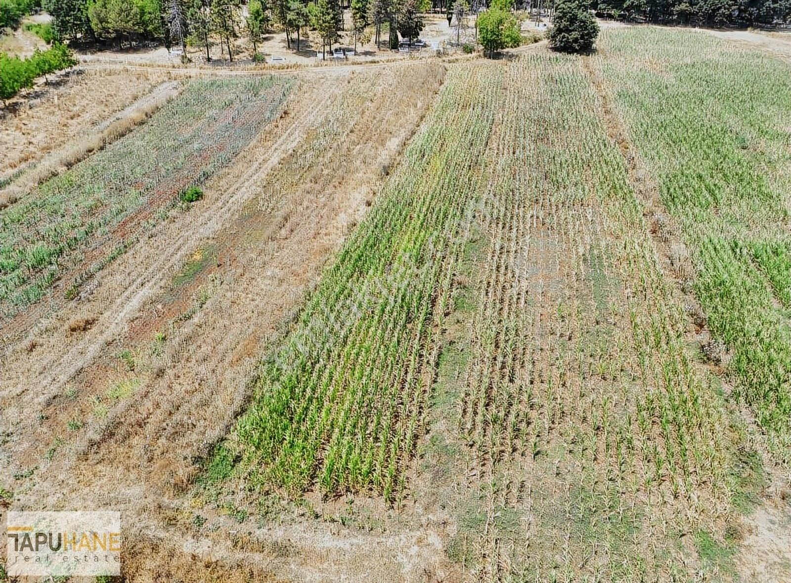 Tapuhane'den Şeyler Köyünde Satılık1400 M2 Arsa - Görsel 6