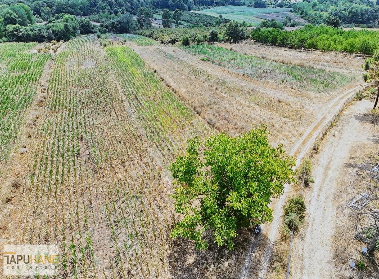 Tapuhane'den Şeyler Köyünde Satılık1400 M2 Arsa - Görsel 3