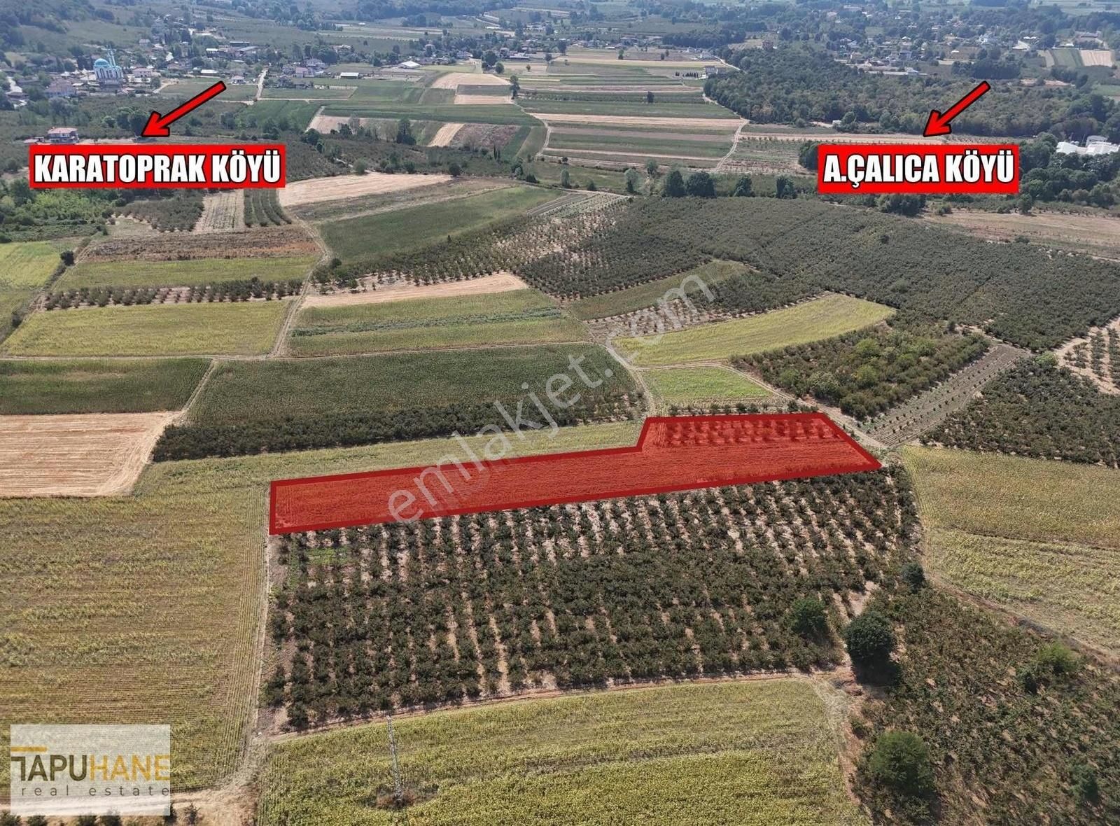 Sakarya Hendek Karatoprak Köyü Satılık 4.443 M2 Tarla - Görsel 11