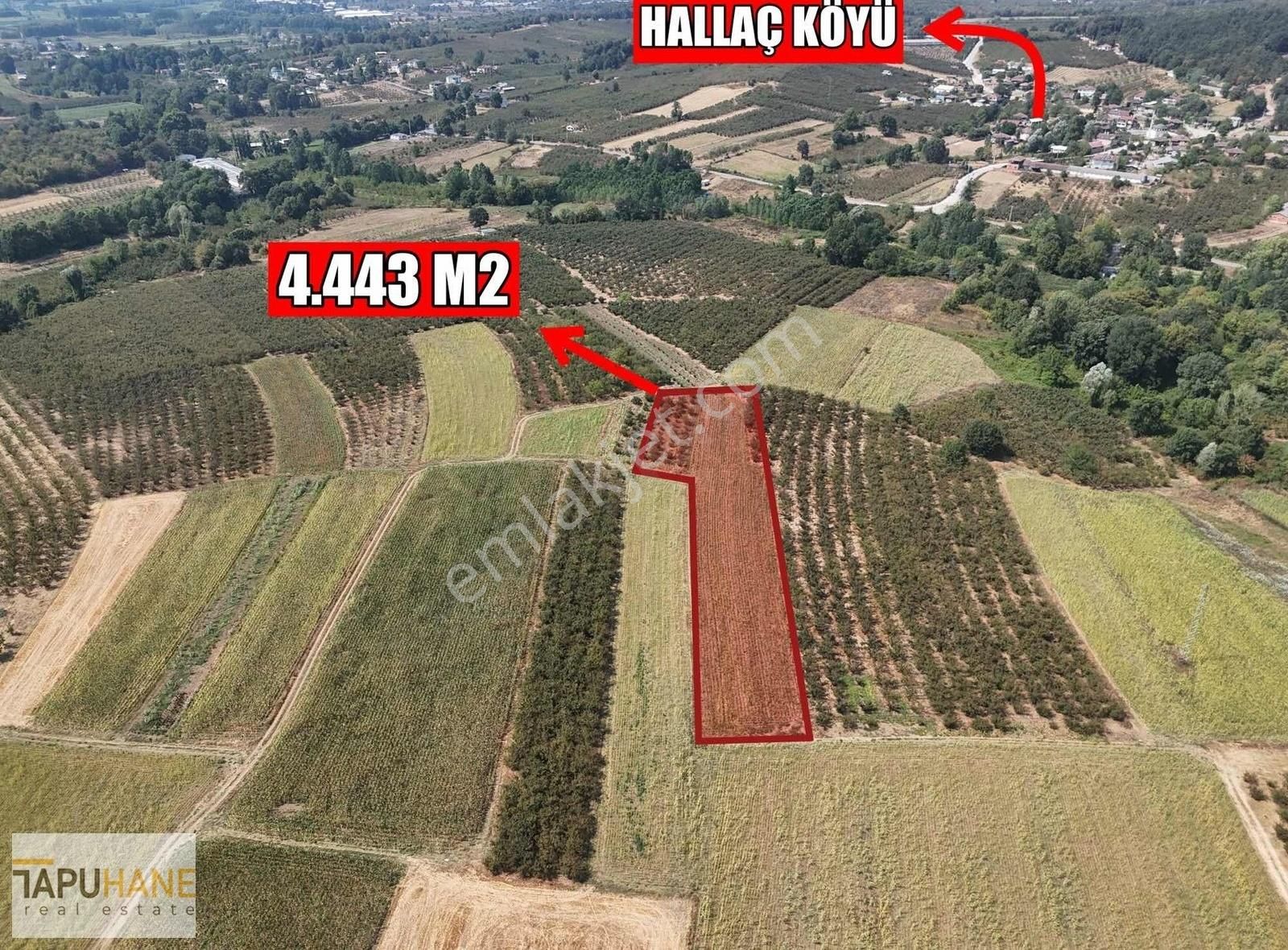 Sakarya Hendek Karatoprak Köyü Satılık 4.443 M2 Tarla - Görsel 8