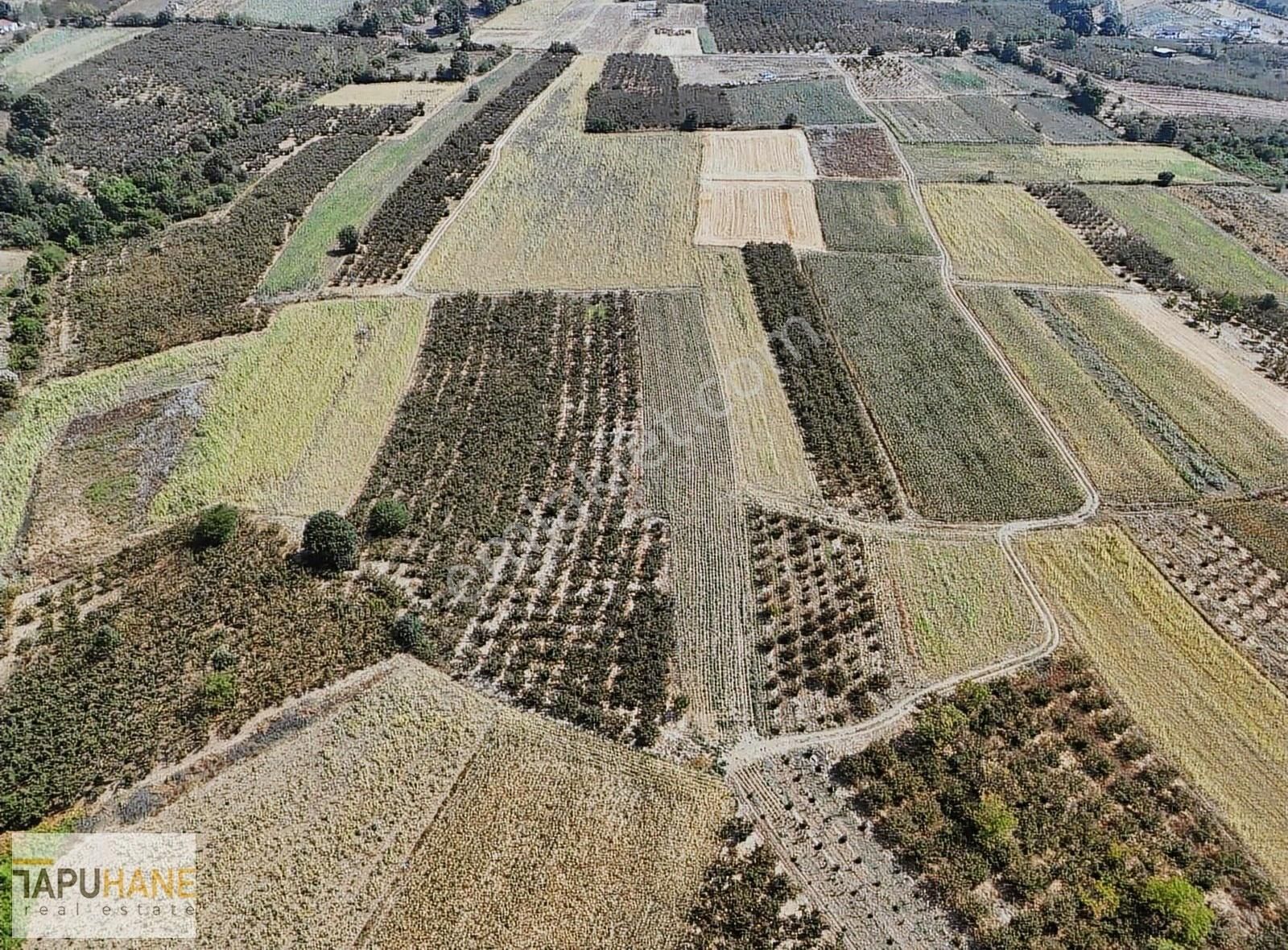 Sakarya Hendek Karatoprak Köyü Satılık 4.443 M2 Tarla - Görsel 3