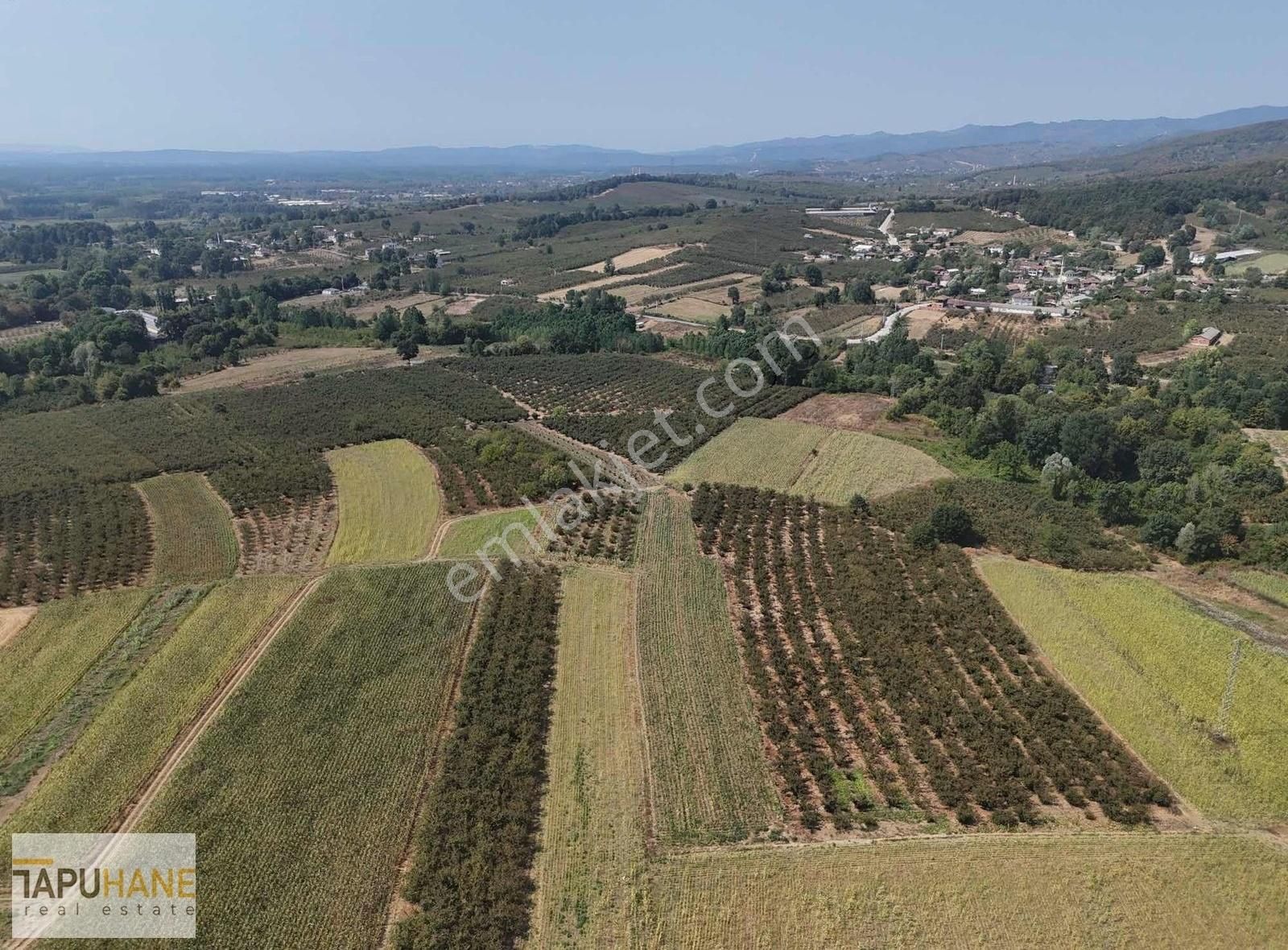 Sakarya Hendek Karatoprak Köyü Satılık 4.443 M2 Tarla - Görsel 5