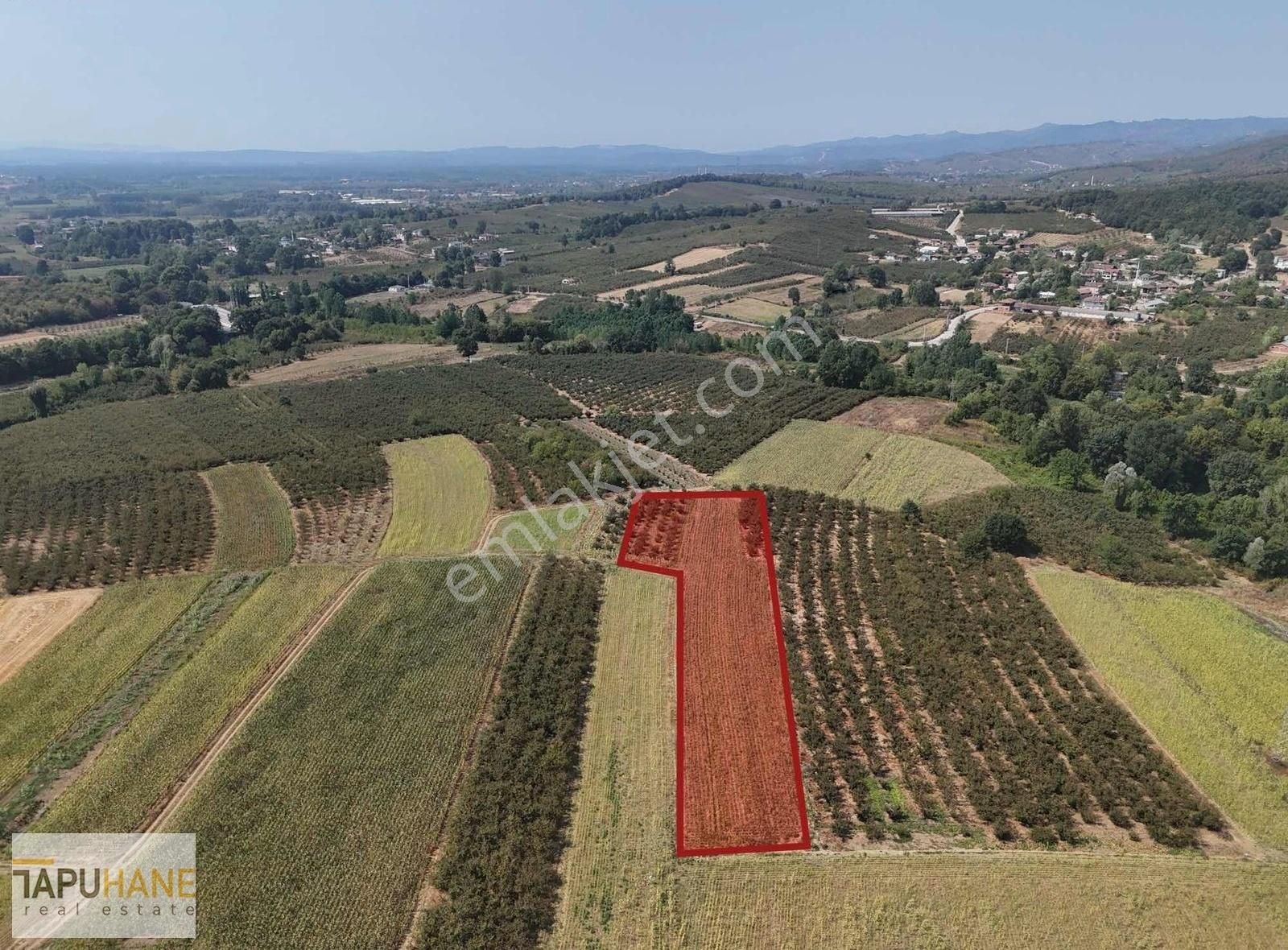 Sakarya Hendek Karatoprak Köyü Satılık 4.443 M2 Tarla - Görsel 4