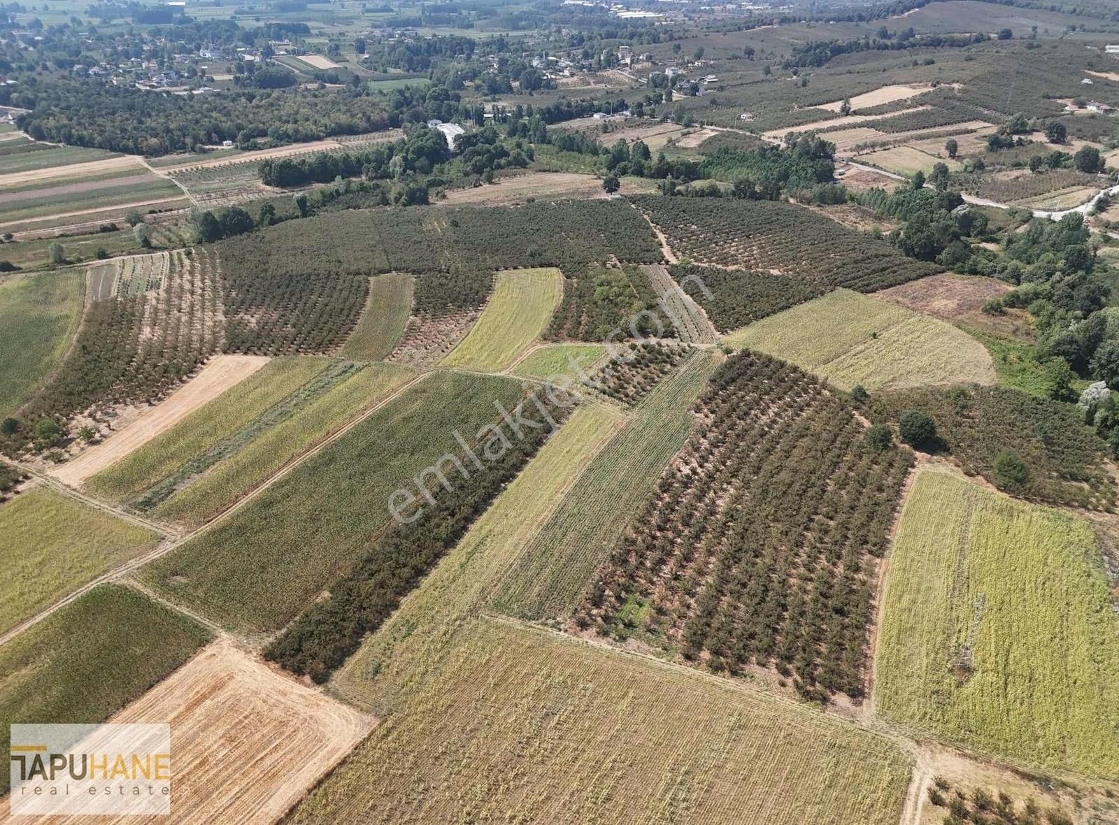 Sakarya Hendek Karatoprak Köyü Satılık 4.443 M2 Tarla - Görsel 10