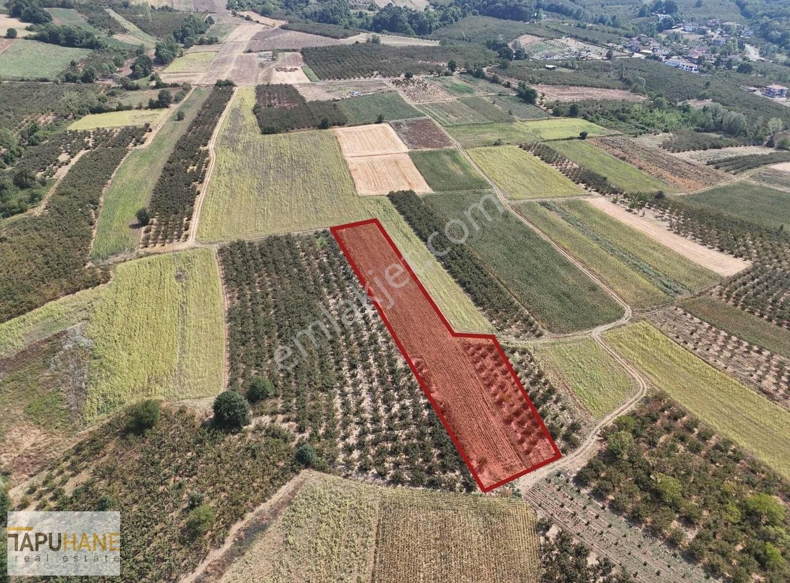 Sakarya Hendek Karatoprak Köyü Satılık 4.443 M2 Tarla - Görsel 7