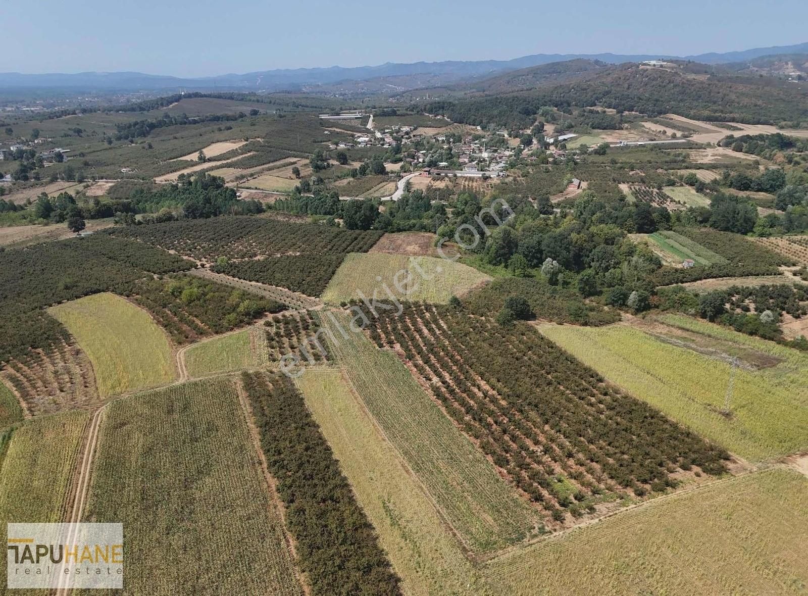 Sakarya Hendek Karatoprak Köyü Satılık 4.443 M2 Tarla - Görsel 17