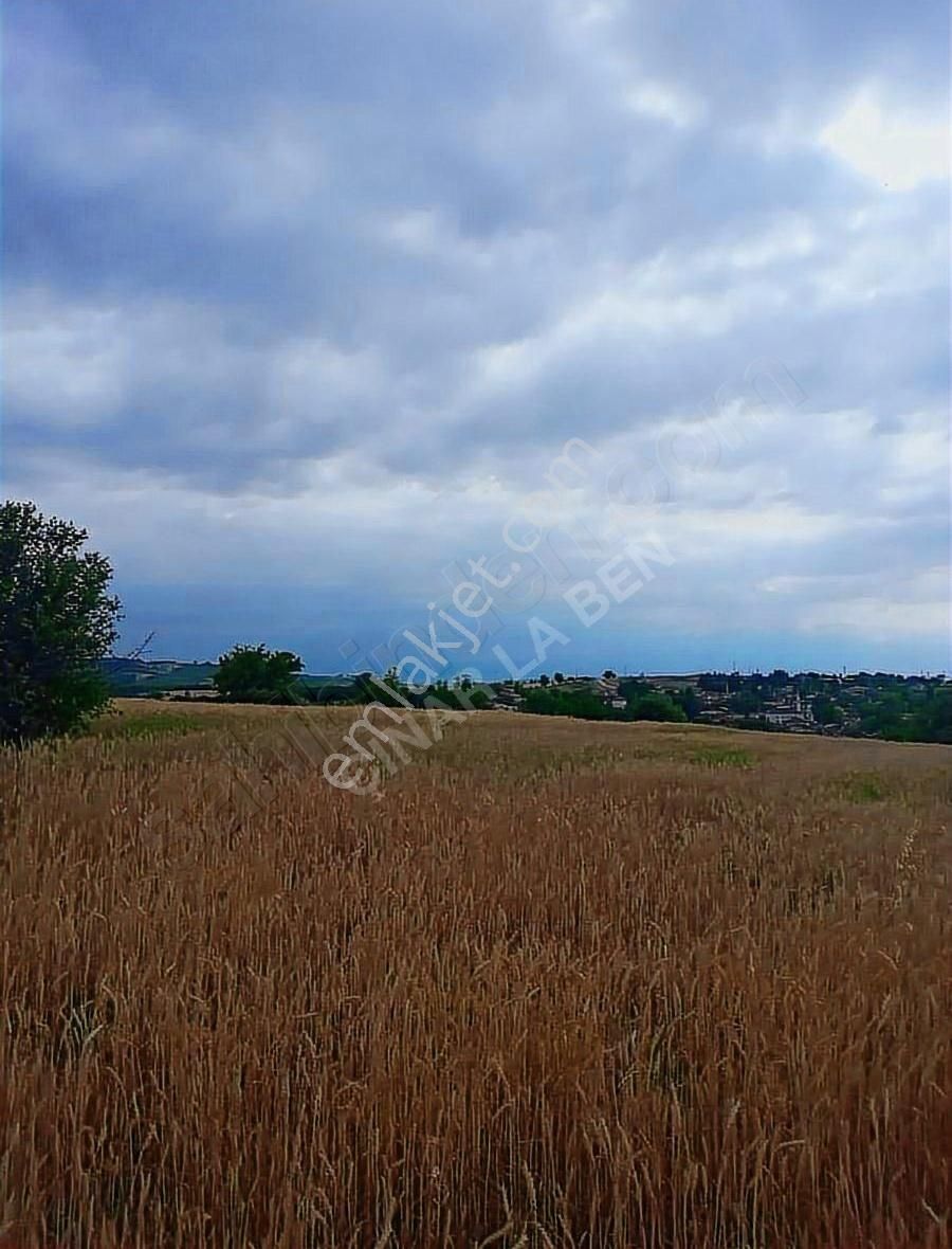 Tarih Ve Doğanın Birleştiği Yatırımlık Arazi - Görsel 5