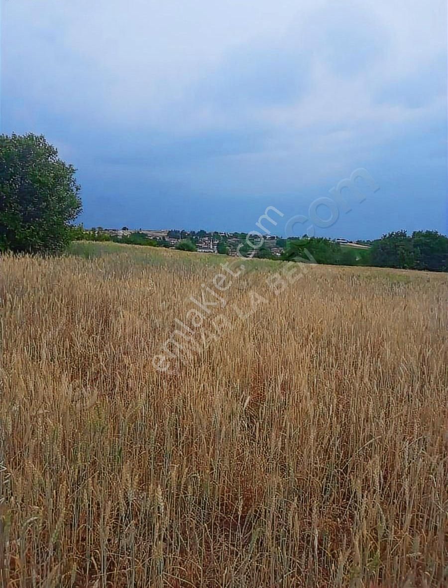 Tarih Ve Doğanın Birleştiği Yatırımlık Arazi - Görsel 4