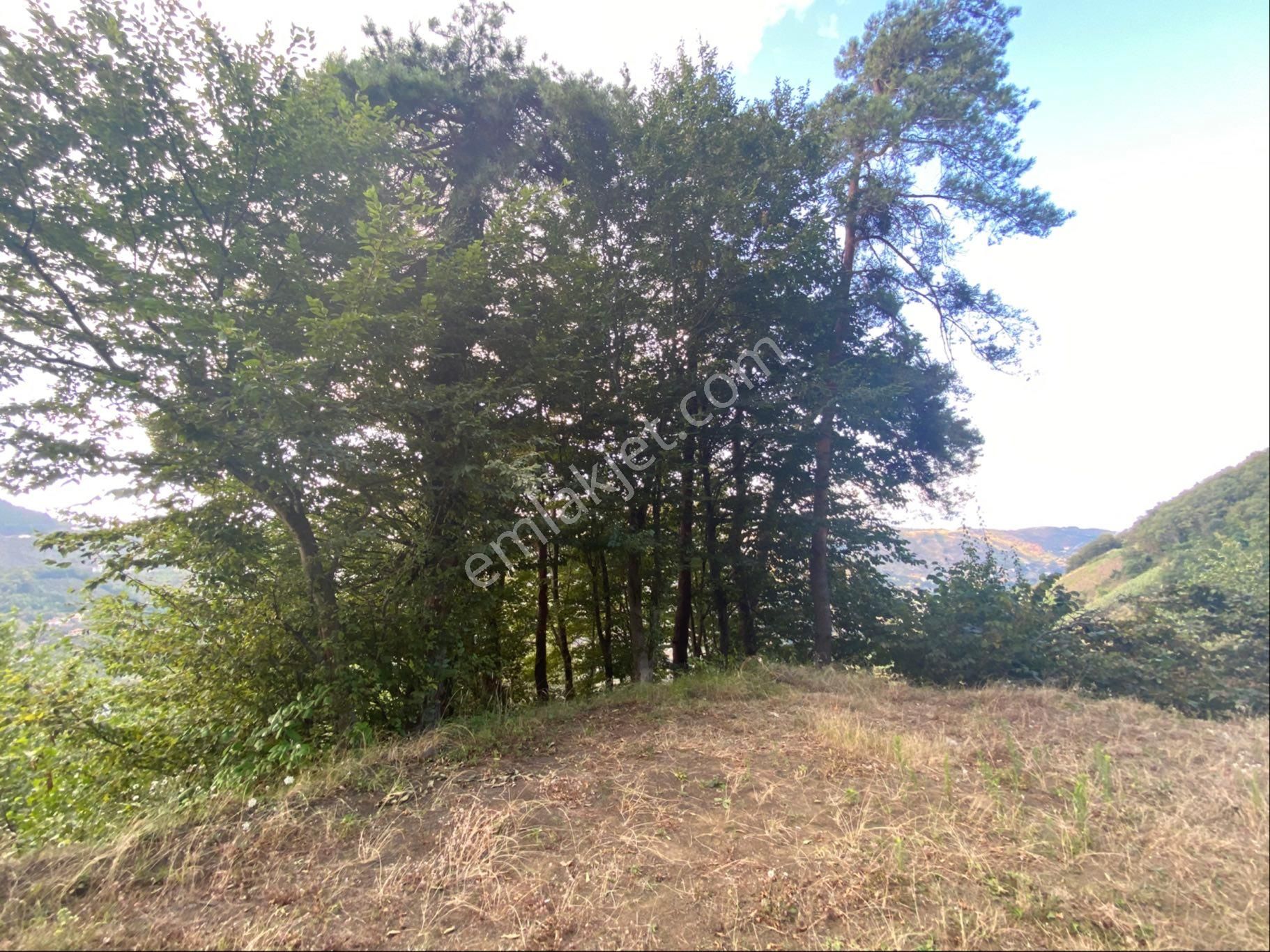 Akçakale De Satılık Arazi - Görsel 6